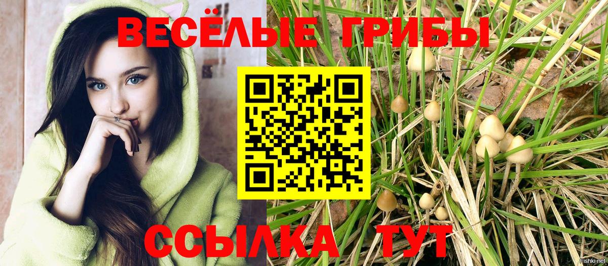Галлюциногенные грибы MAGIC MUSHROOMS  Псилоцибиновые грибы мицелий  Вход с VPN  Полевской 